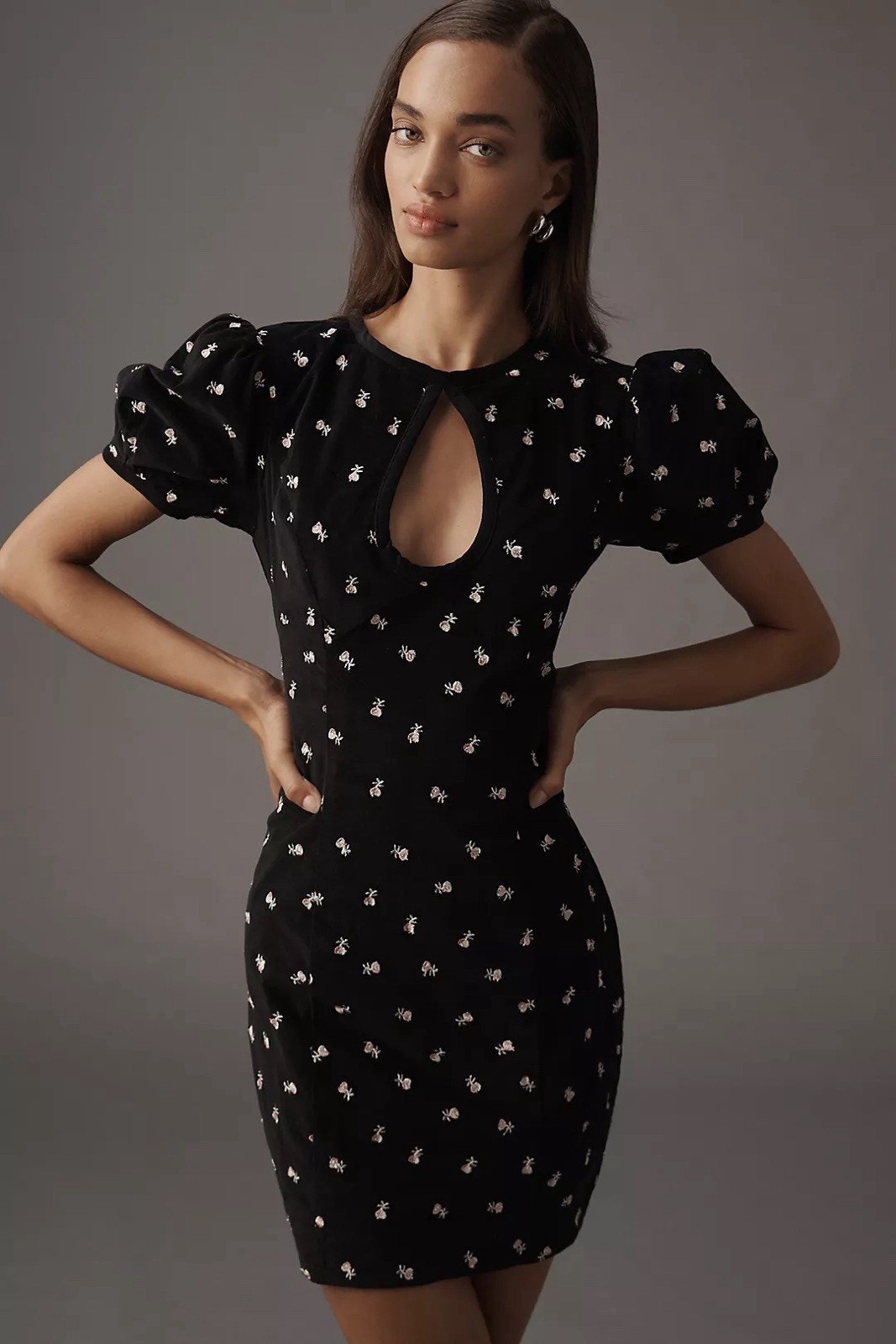 Nwt Anthropologie Maeve Puff-Sleeve Keyhole Embroidered Floral Mini Dress Size 6